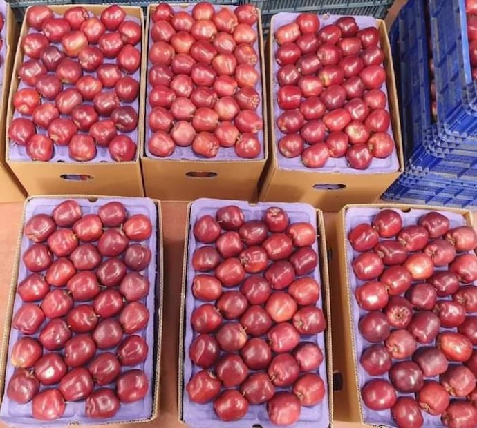 🍎 عرض خاص: تفاح أحمر أوكراني