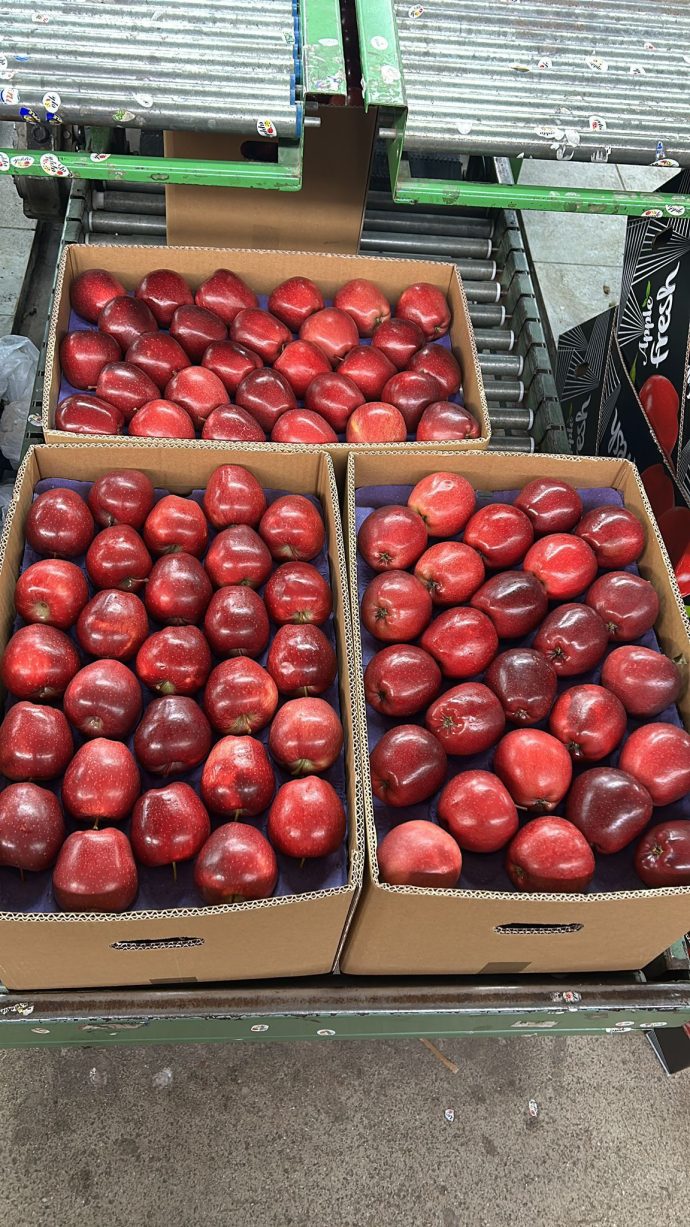 ⁦🍎 عرض خاص: تفاح أحمر أوكراني⁩ - الصورة ⁦12⁩