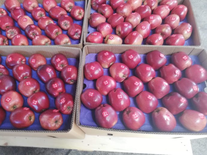 ⁦🍎 عرض خاص: تفاح أحمر أوكراني⁩ - الصورة ⁦13⁩