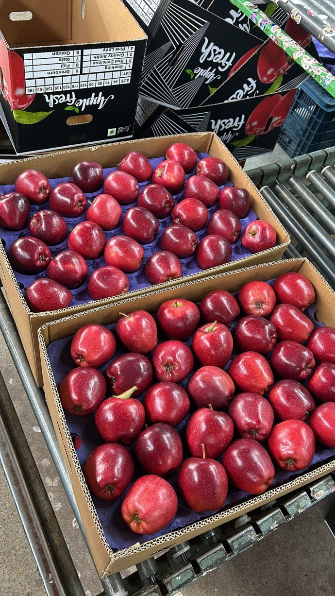 ⁦🍎 عرض خاص: تفاح أحمر أوكراني⁩ - الصورة ⁦14⁩