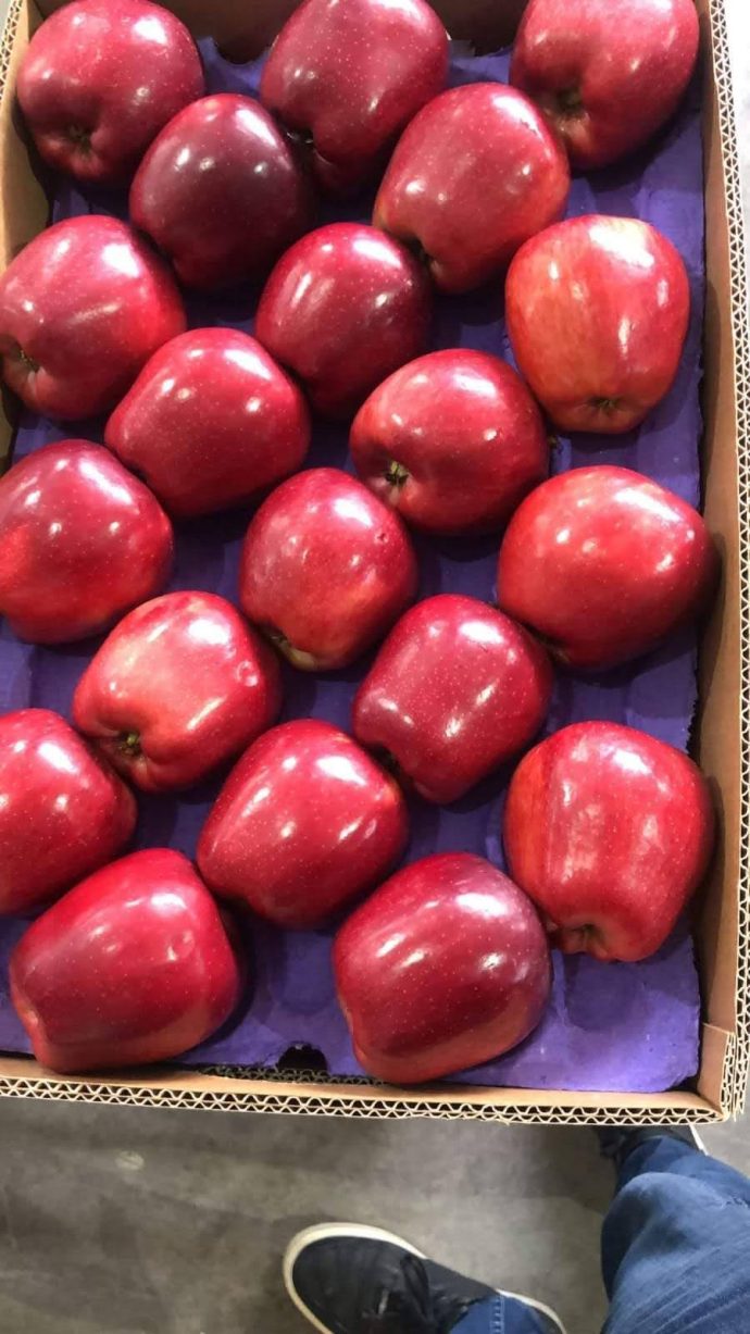 ⁦🍎 عرض خاص: تفاح أحمر أوكراني⁩ - الصورة ⁦15⁩