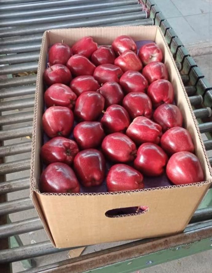 ⁦🍎 عرض خاص: تفاح أحمر أوكراني⁩ - الصورة ⁦3⁩