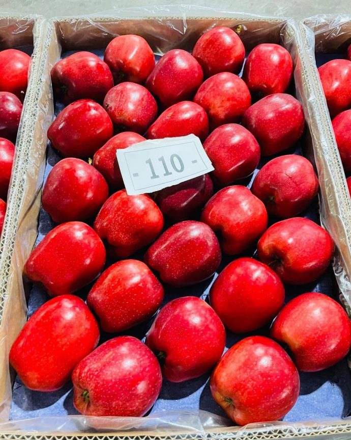 ⁦🍎 عرض خاص: تفاح أحمر أوكراني⁩ - الصورة ⁦5⁩