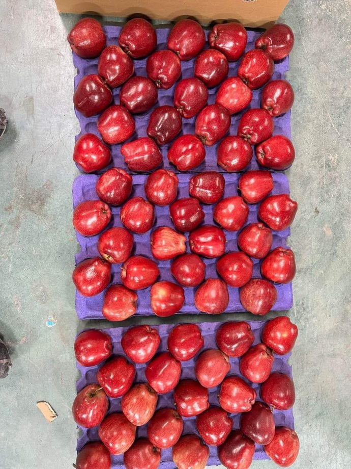 ⁦🍎 عرض خاص: تفاح أحمر أوكراني⁩ - الصورة ⁦6⁩