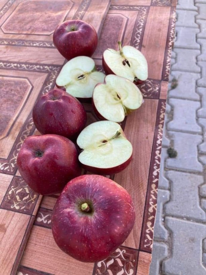 ⁦🍎 عرض خاص: تفاح أحمر أوكراني⁩ - الصورة ⁦7⁩