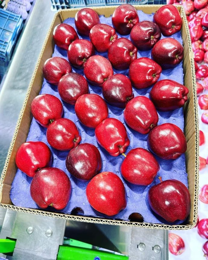 ⁦🍎 عرض خاص: تفاح أحمر أوكراني⁩ - الصورة ⁦8⁩