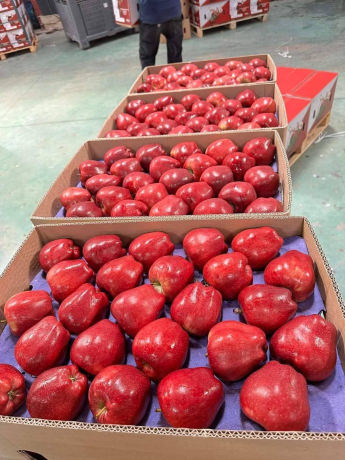 ⁦🍎 عرض خاص: تفاح أحمر أوكراني⁩ - الصورة ⁦10⁩