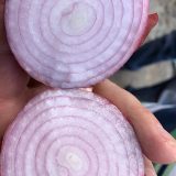 ⁦🧅 عرض خاص: بصل أحمر طازج 🧅⁩ - الصورة ⁦3⁩