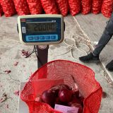 ⁦🧅 عرض خاص: بصل أحمر طازج 🧅⁩ - الصورة ⁦8⁩